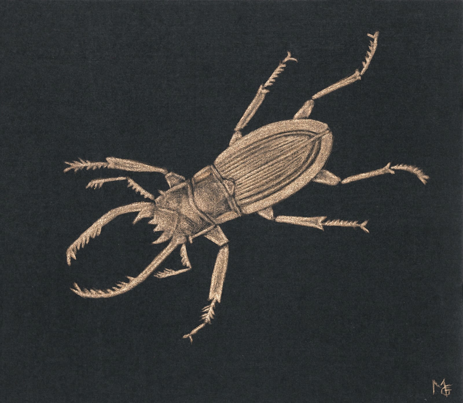 Margot Glass, Stag Beetle, 2020