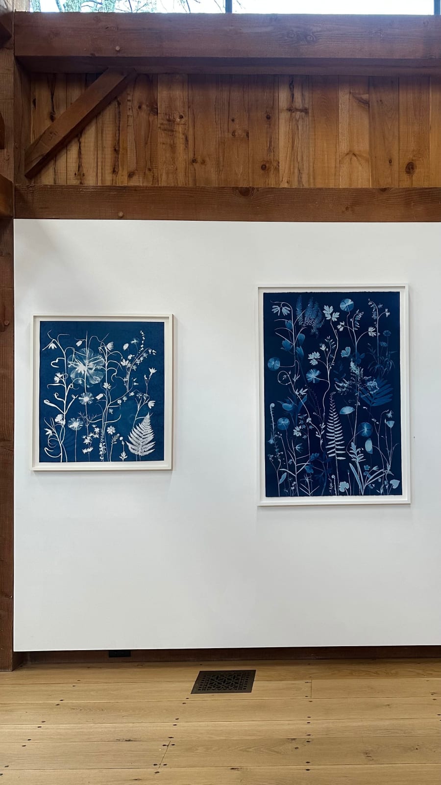 Julia Whitney Barnes, Nocturnal Nature (Fritillarias, Bleeding Hearts, Ferns, Hibiscus), 2021-'23