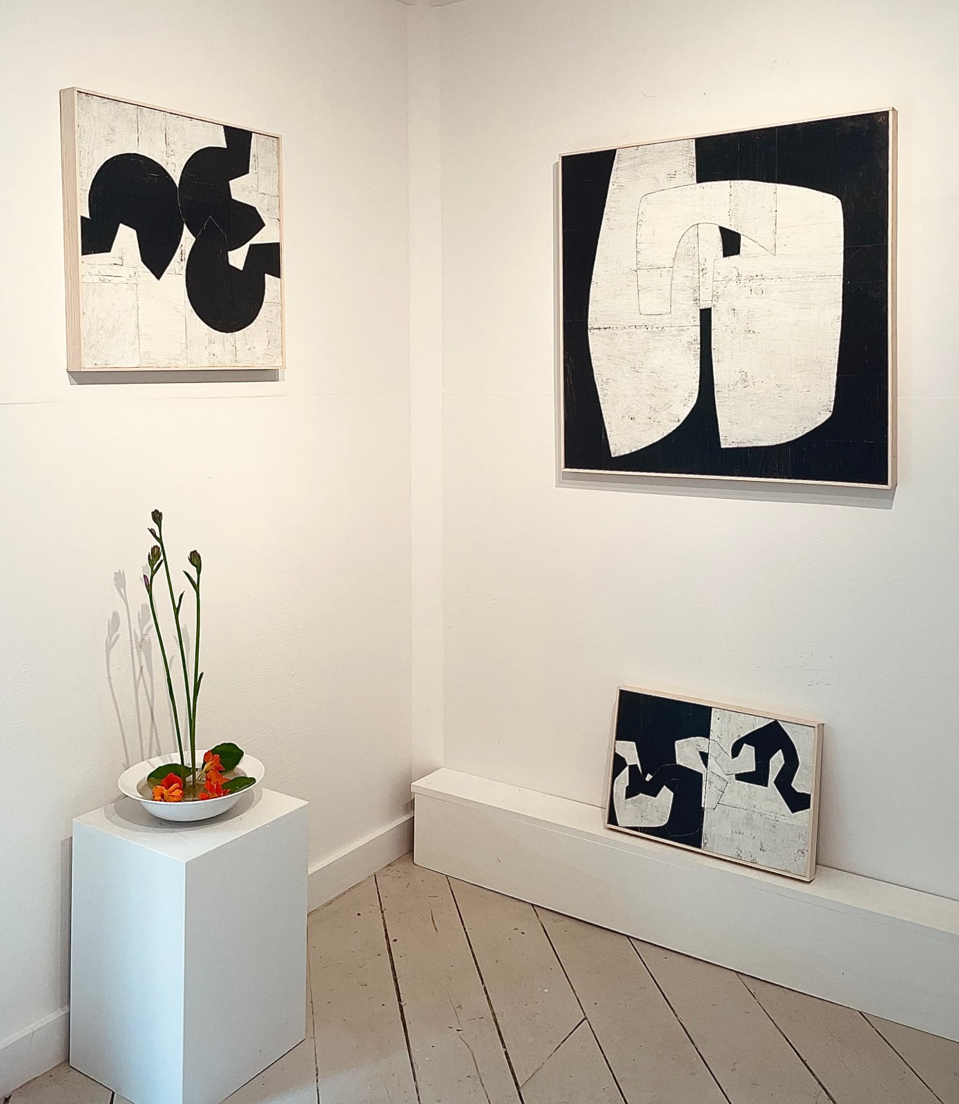 Daniel Anselmi, Untitled (7-12), 2024