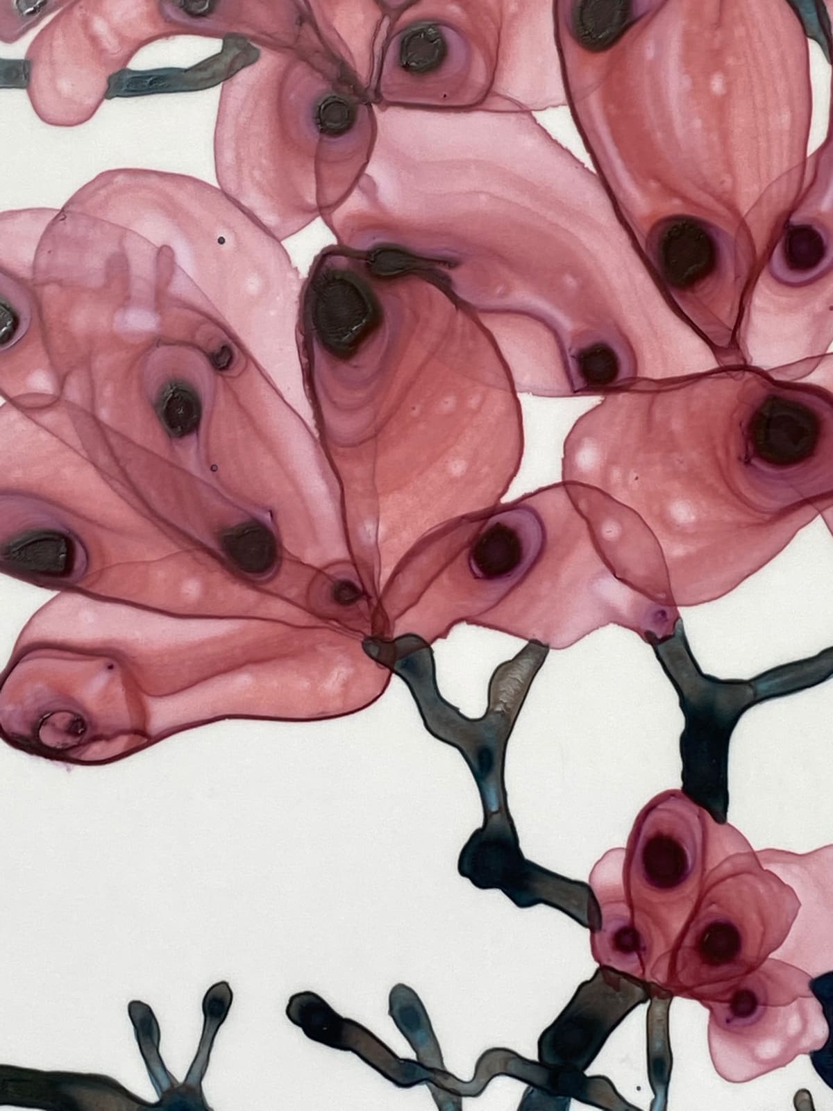 Jackie Battenfield, Evening Chorales Cs2, 2021