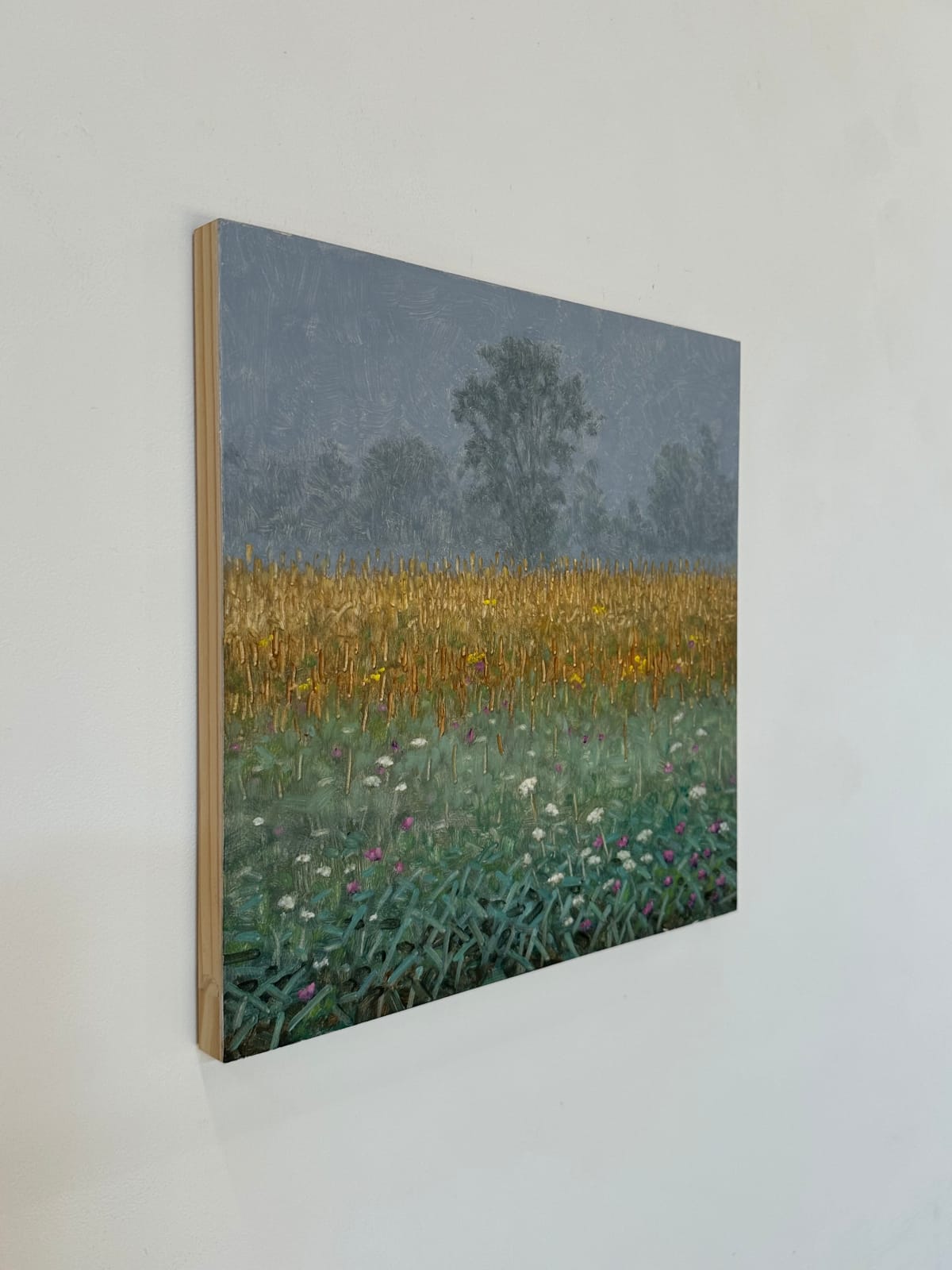 Thomas Sarrantonio, Field Painting September 6, 2023