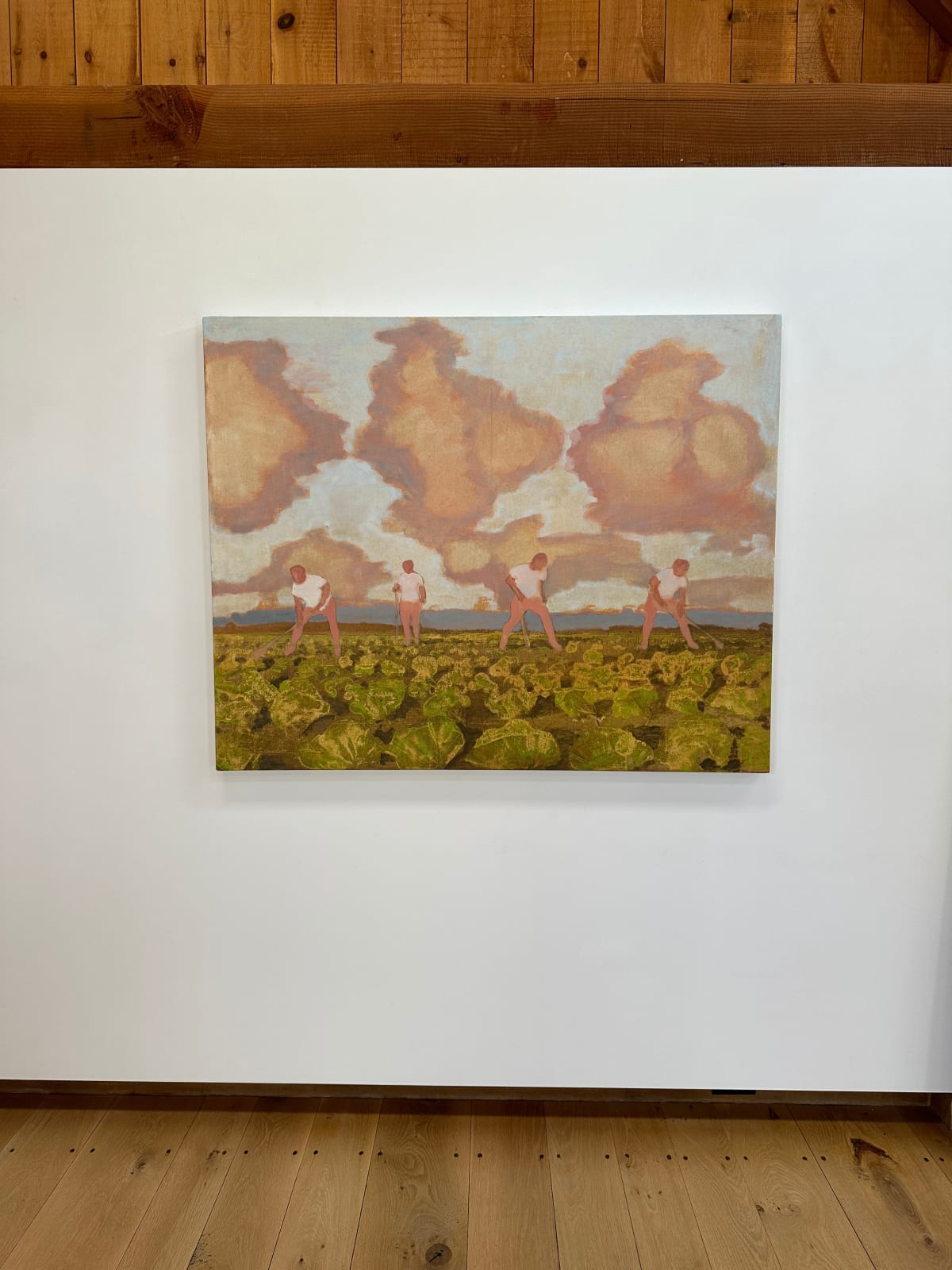 David Konigsberg, Cabbage Field, 2023