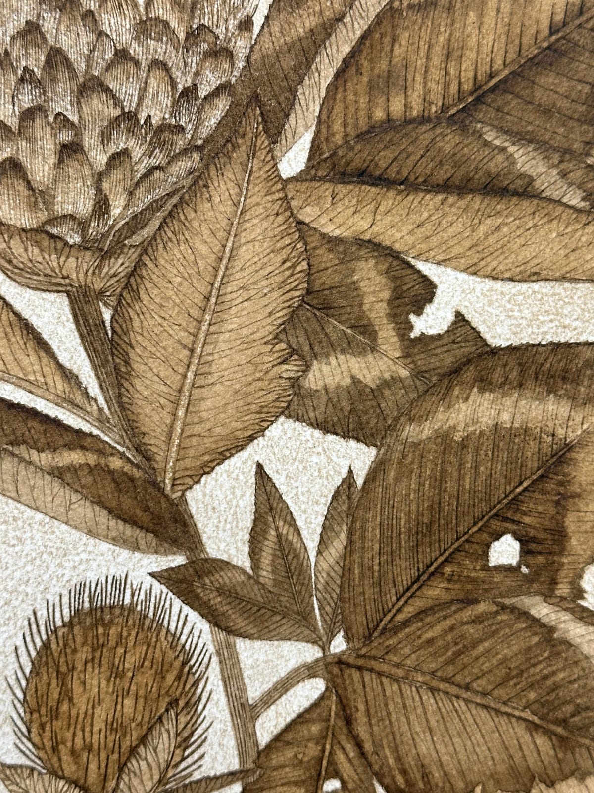 Margot Glass, Red Clover, 2024