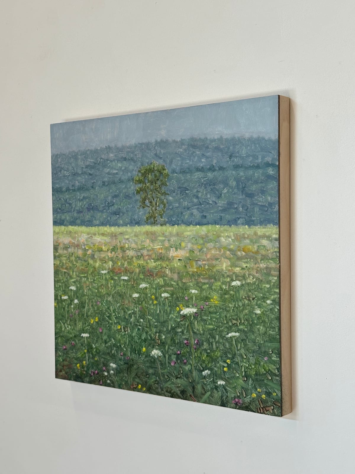 Thomas Sarrantonio, Field Painting July 27, 2023