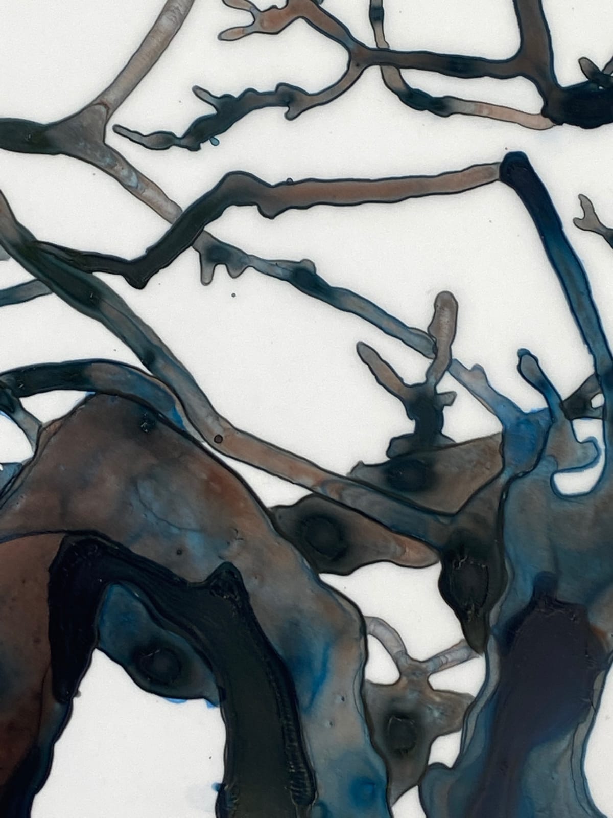 Jackie Battenfield, Evening Chorales Cs2, 2021