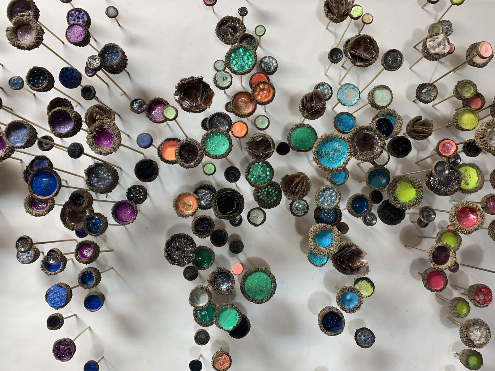 Julie Maren, Botanica 3, 2019