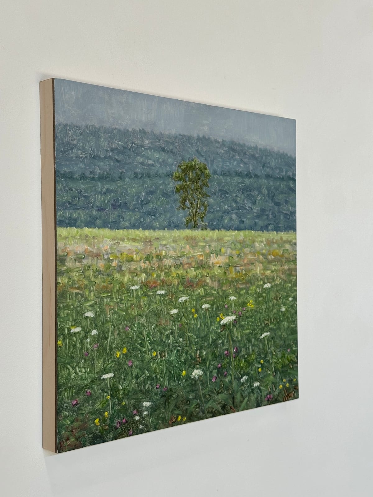 Thomas Sarrantonio, Field Painting July 27, 2023