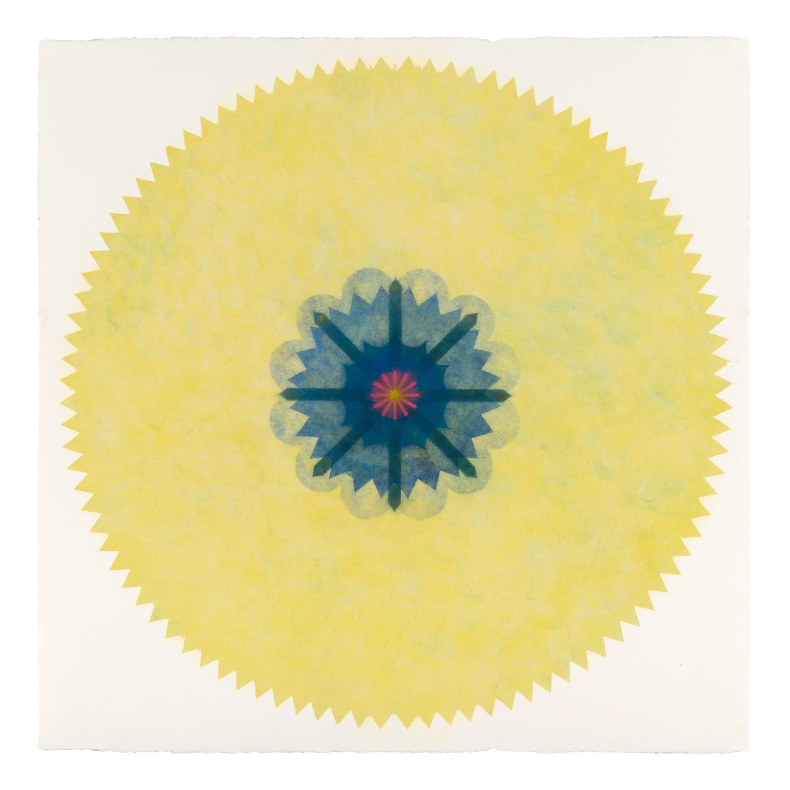 Mary Judge, Pop Flower 35, 2016