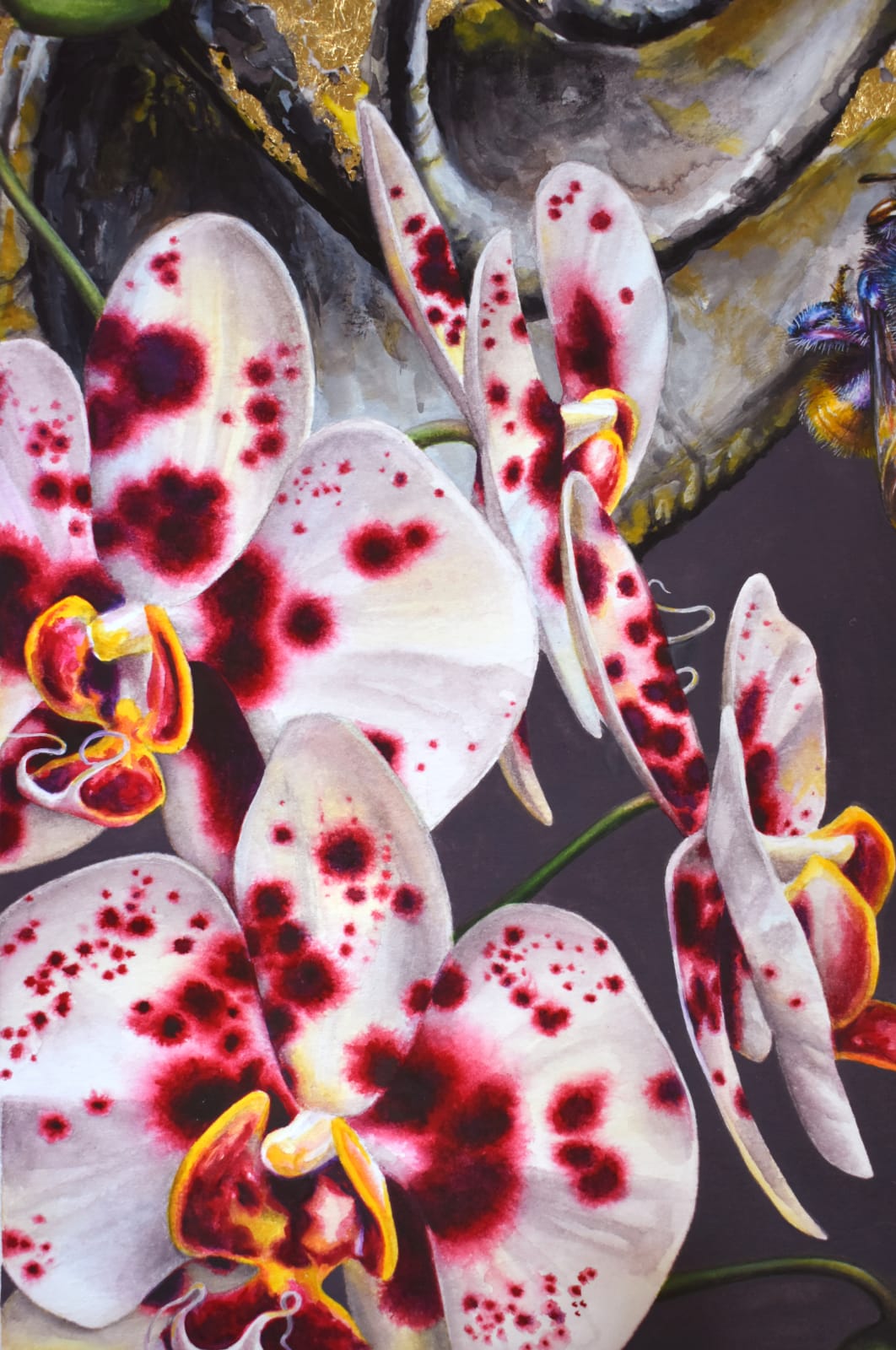 Francine Fox, Spotted Panama Catacomb, 2020