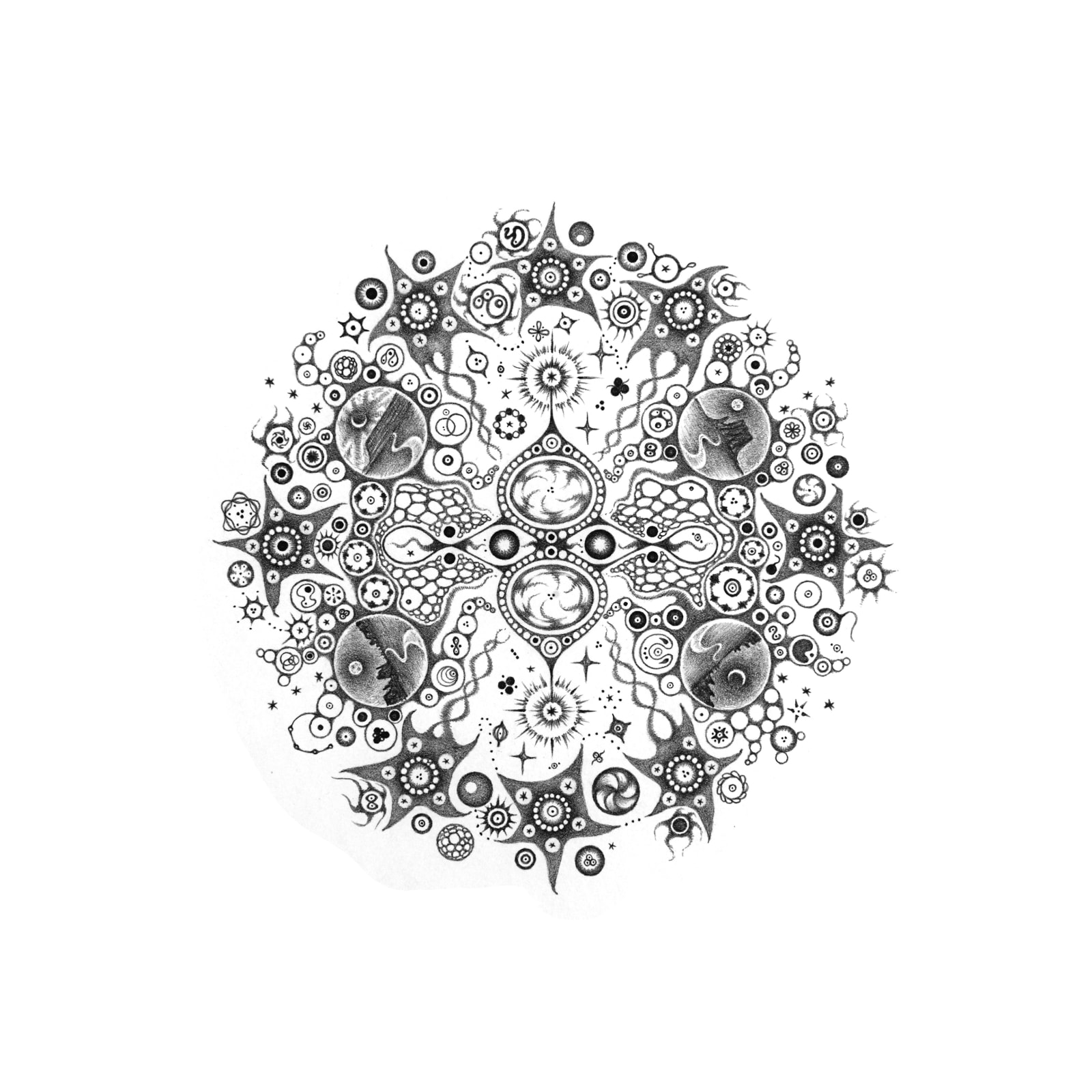 Michiyo Ihara, Snowflakes #114 "Response", 2014
