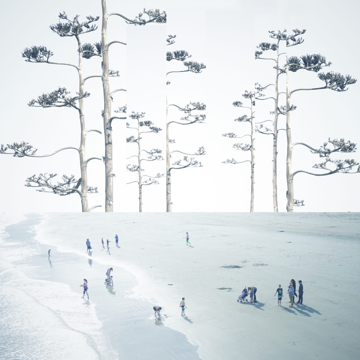 Mark Bartkiw, Weird Trees