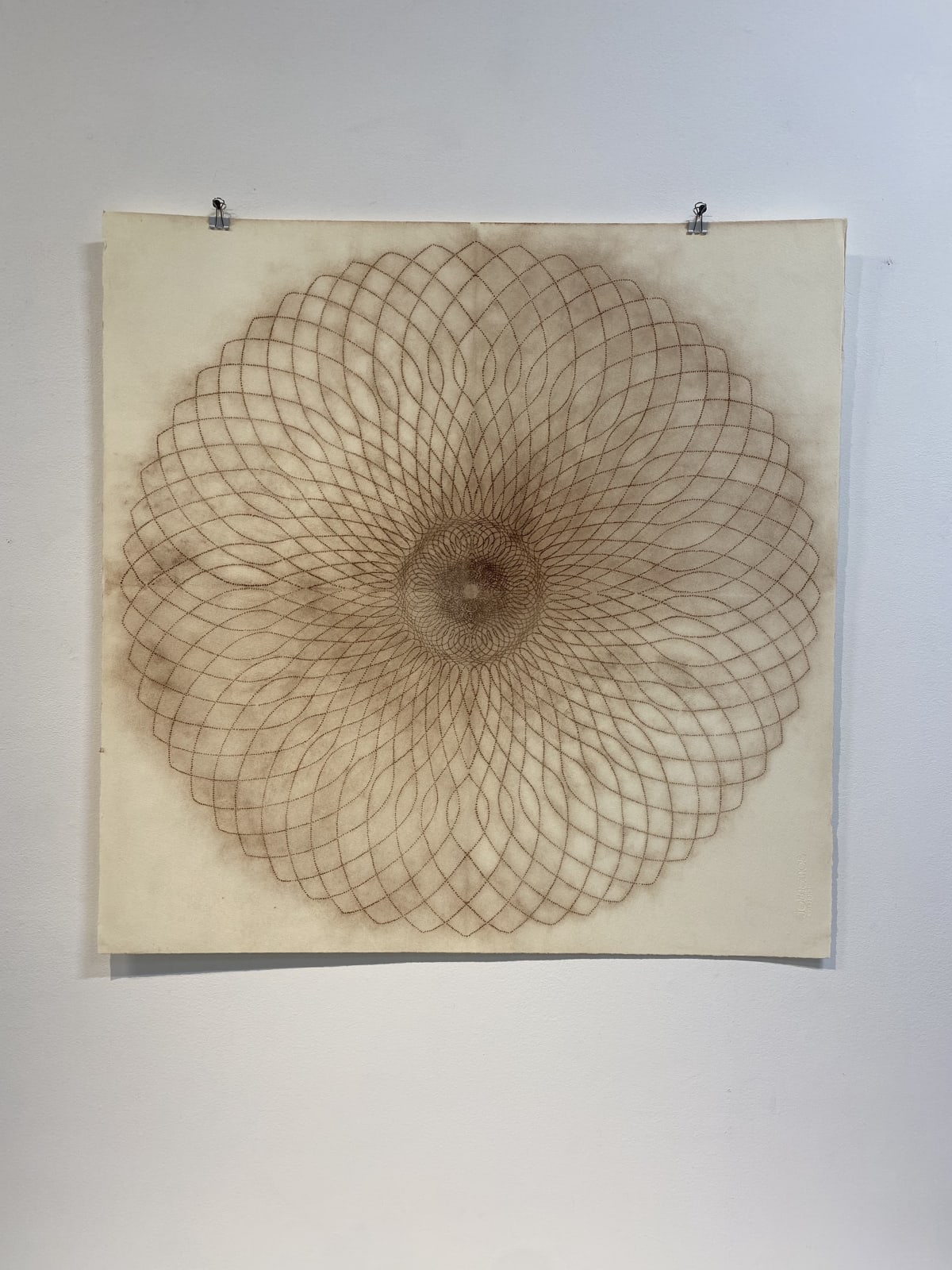 Mary Judge, Exotic Hex Series, 12/3, 2006