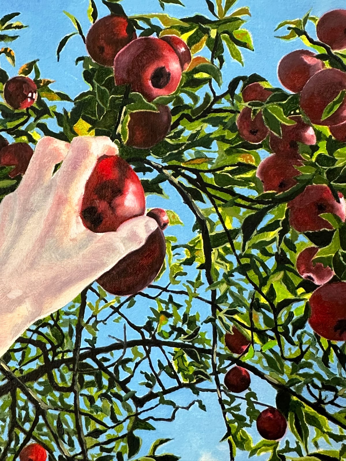 Amanda Acker, Apple Picking, 2023