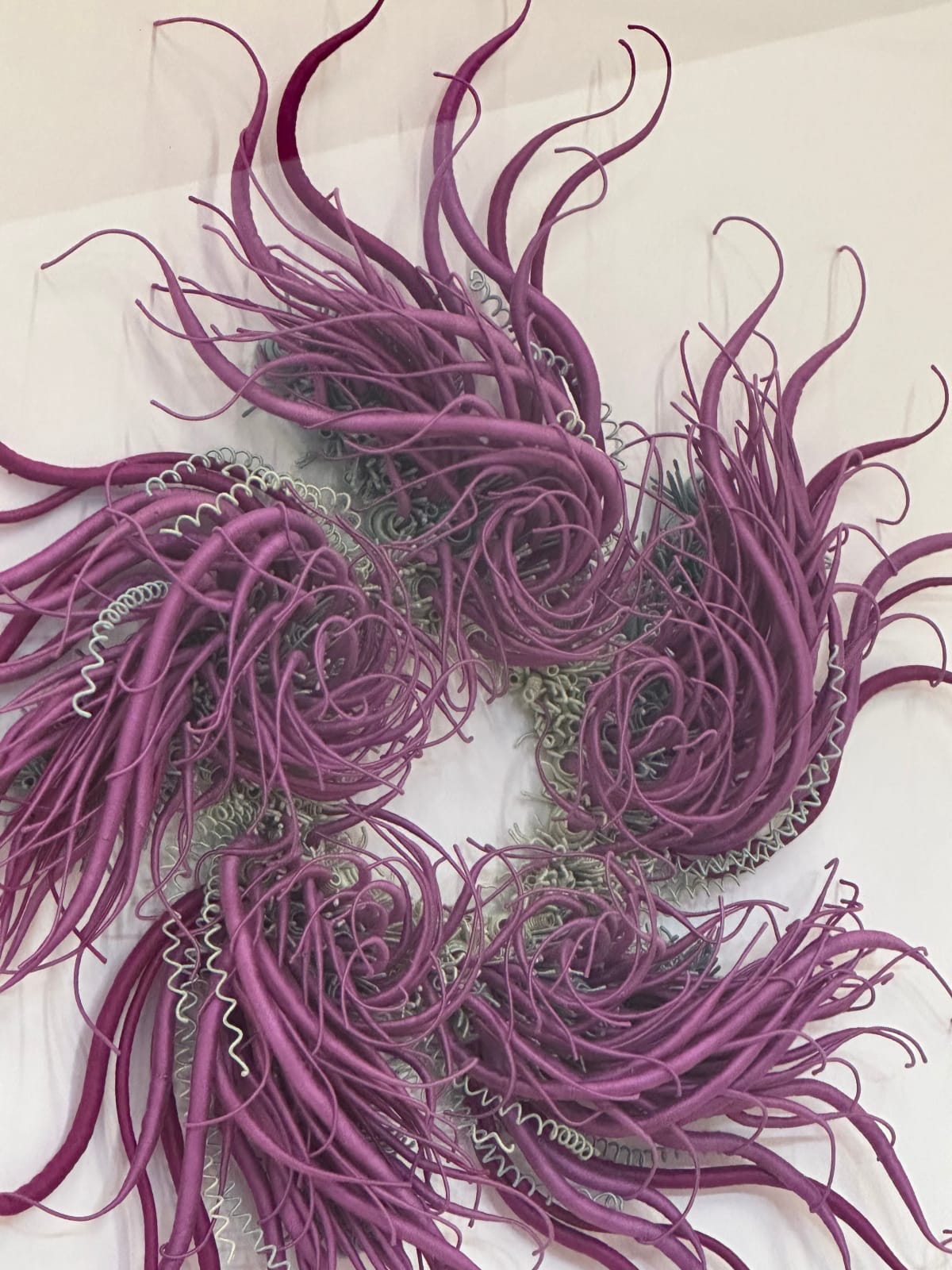Catherine Latson, Specimen #21, 2020