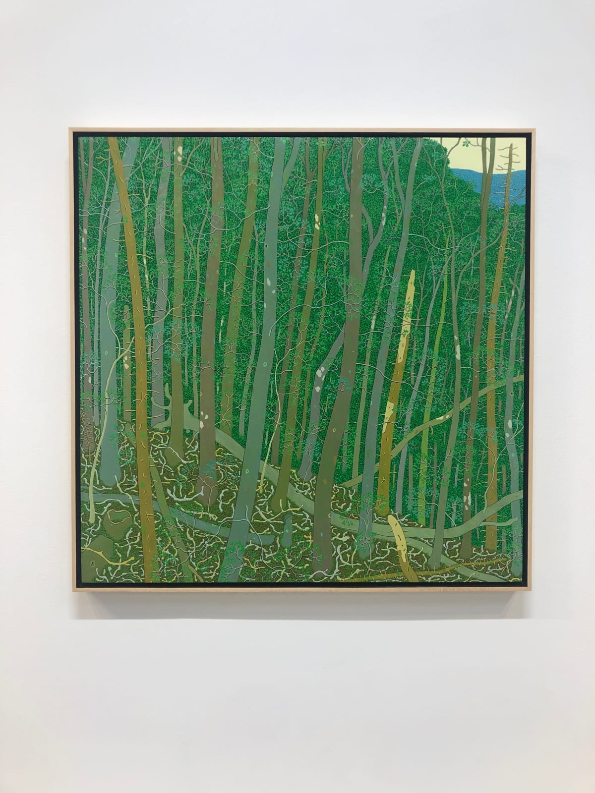 Gregory Hennen, View of Slaters Ridge from Wyatt Mountain, 2015