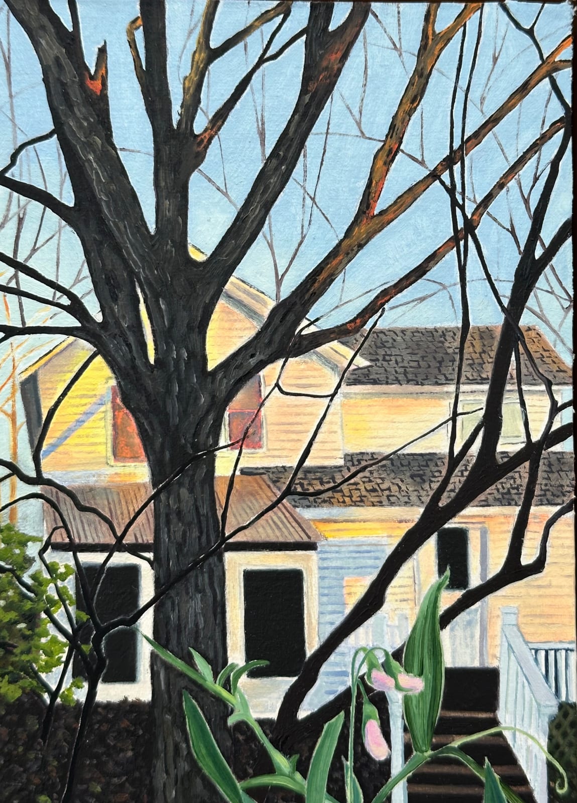 Amanda Acker, November Bloom, 2023