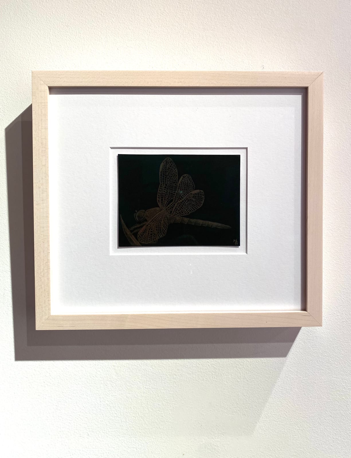 Margot Glass, Dragonfly, 2020