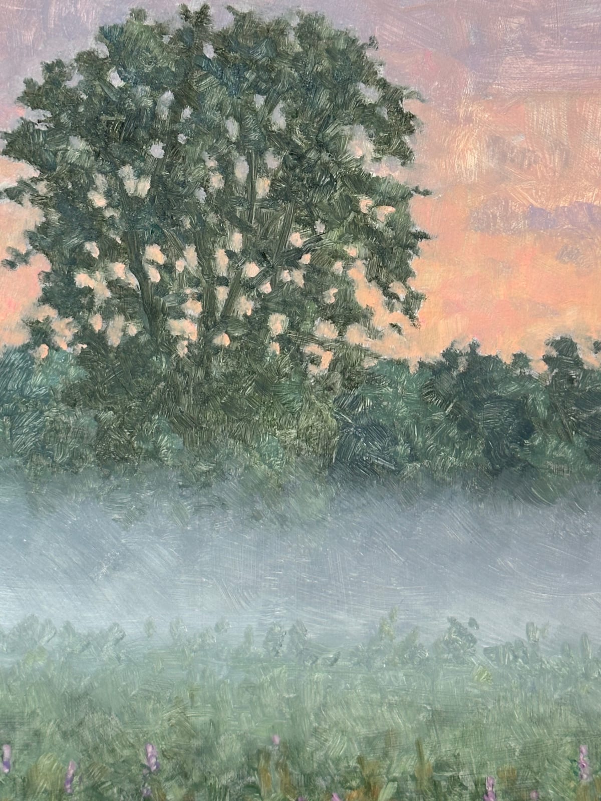 Thomas Sarrantonio, Field Painting August 2, 2024