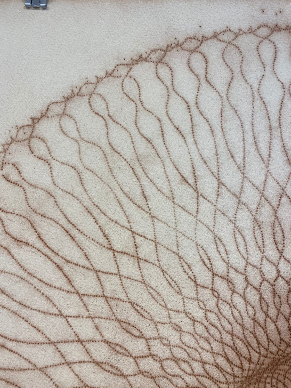 Mary Judge, Exotic Hex Series, 112/07, 2007