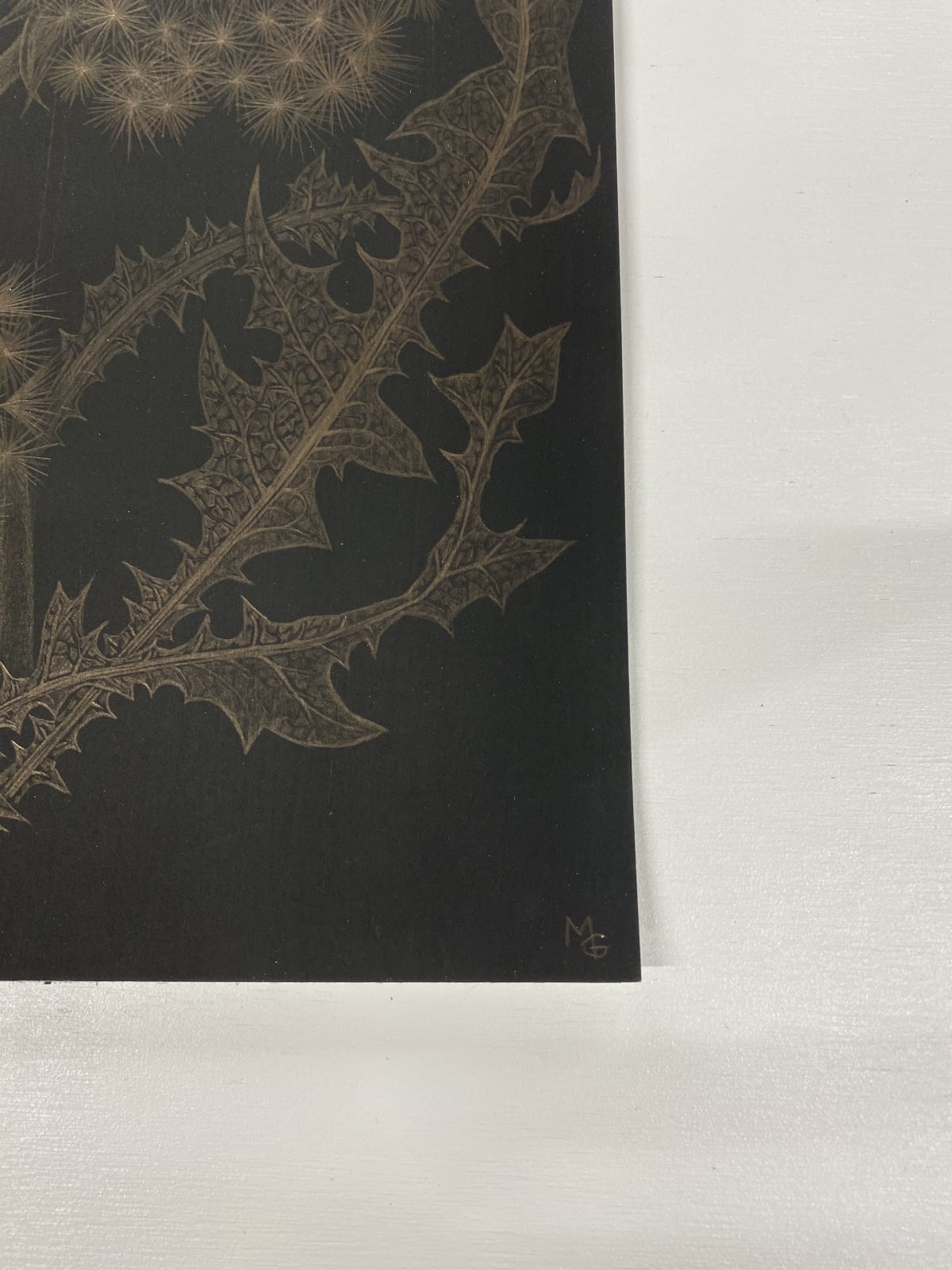Margot Glass, Dandelion with Bud, 2018