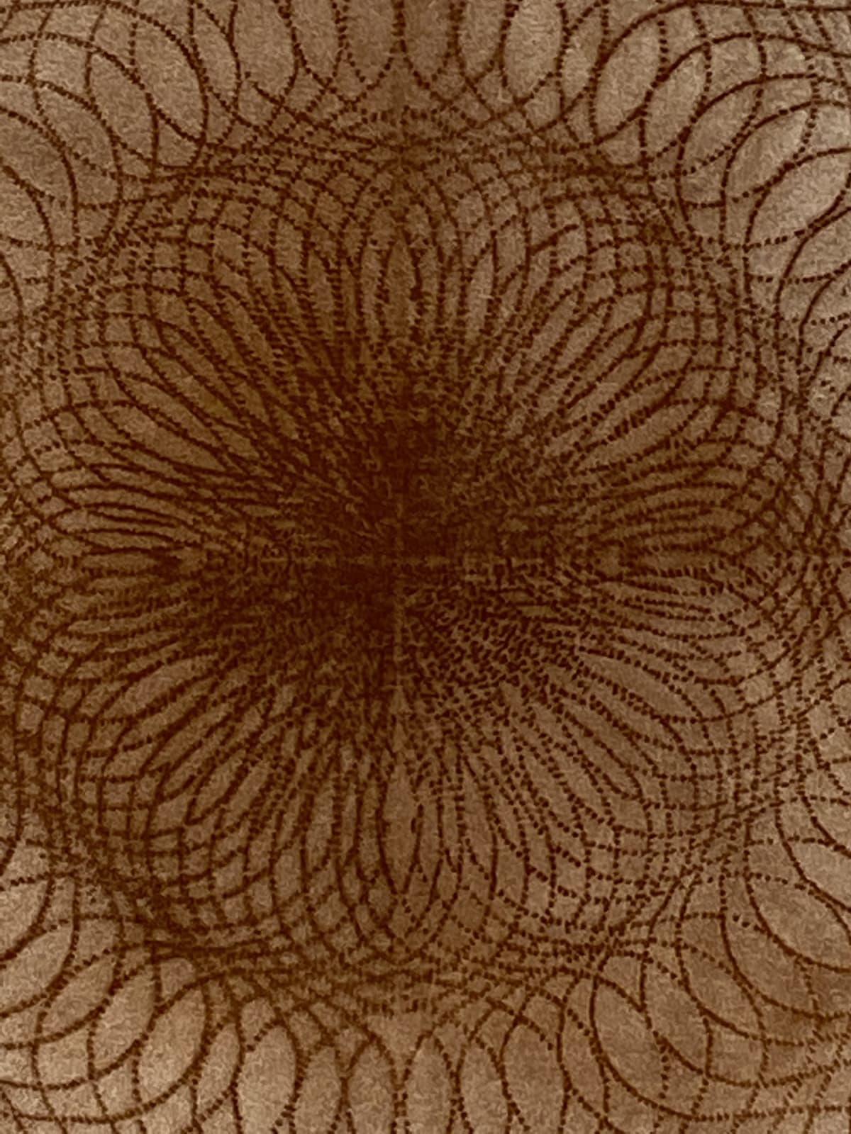 Mary Judge, A102, 2005