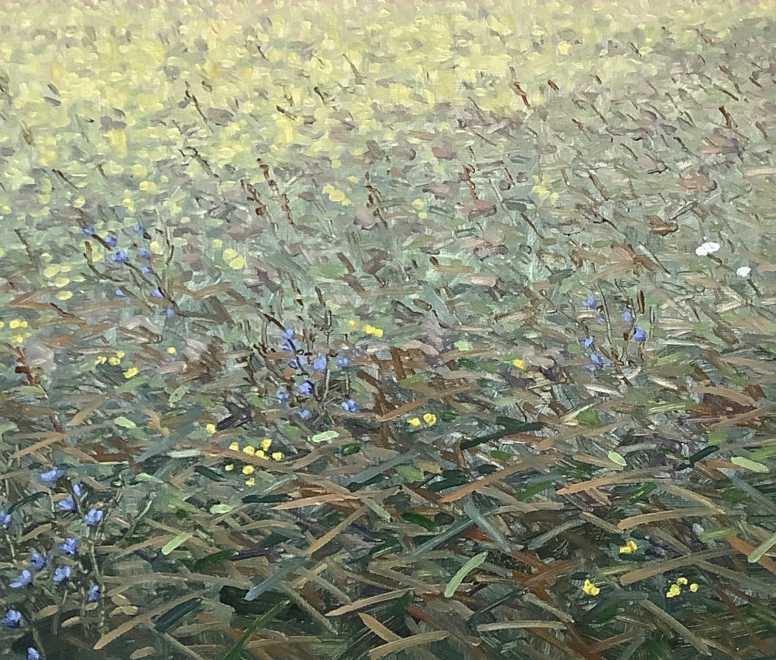 Thomas Sarrantonio, Translation, 2017