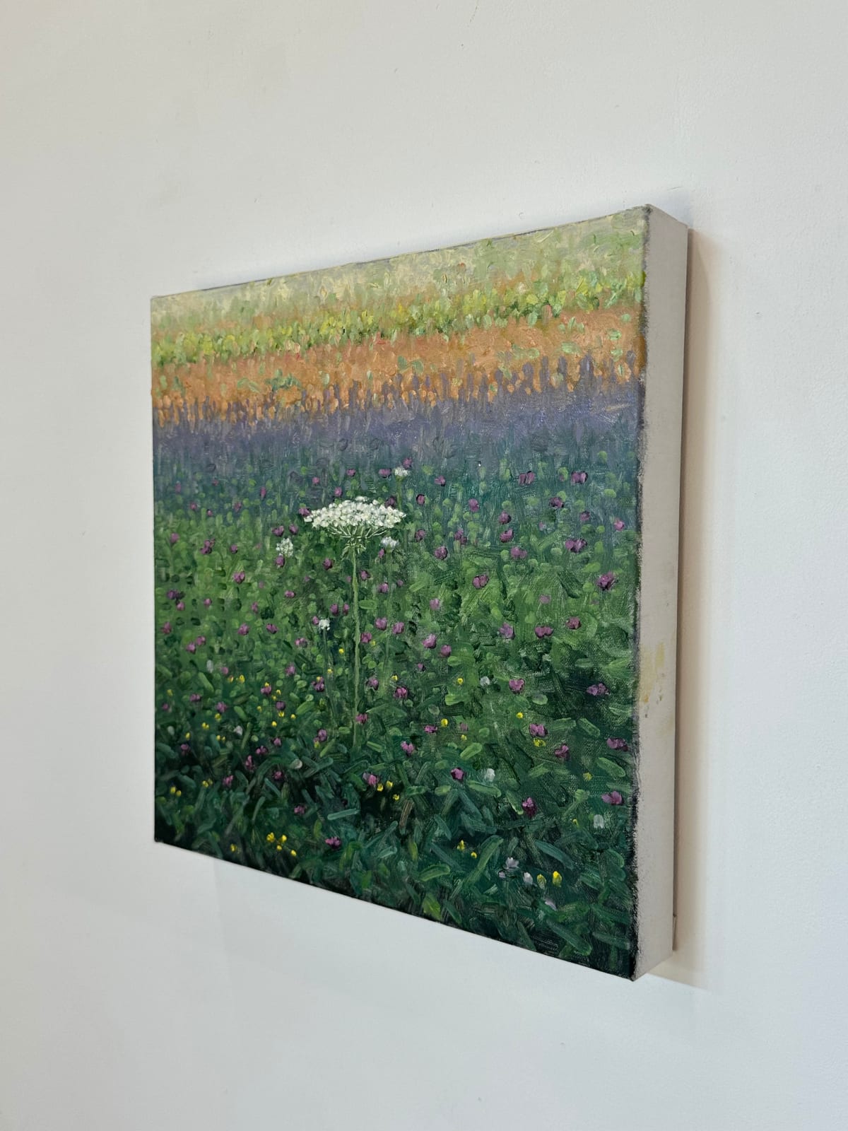 Thomas Sarrantonio, Field Painting August 9, 2023