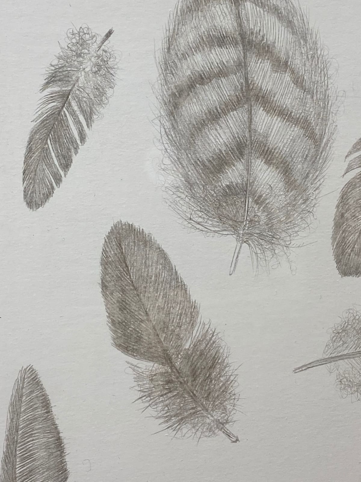 Margot Glass, Feather Group 1, 2021