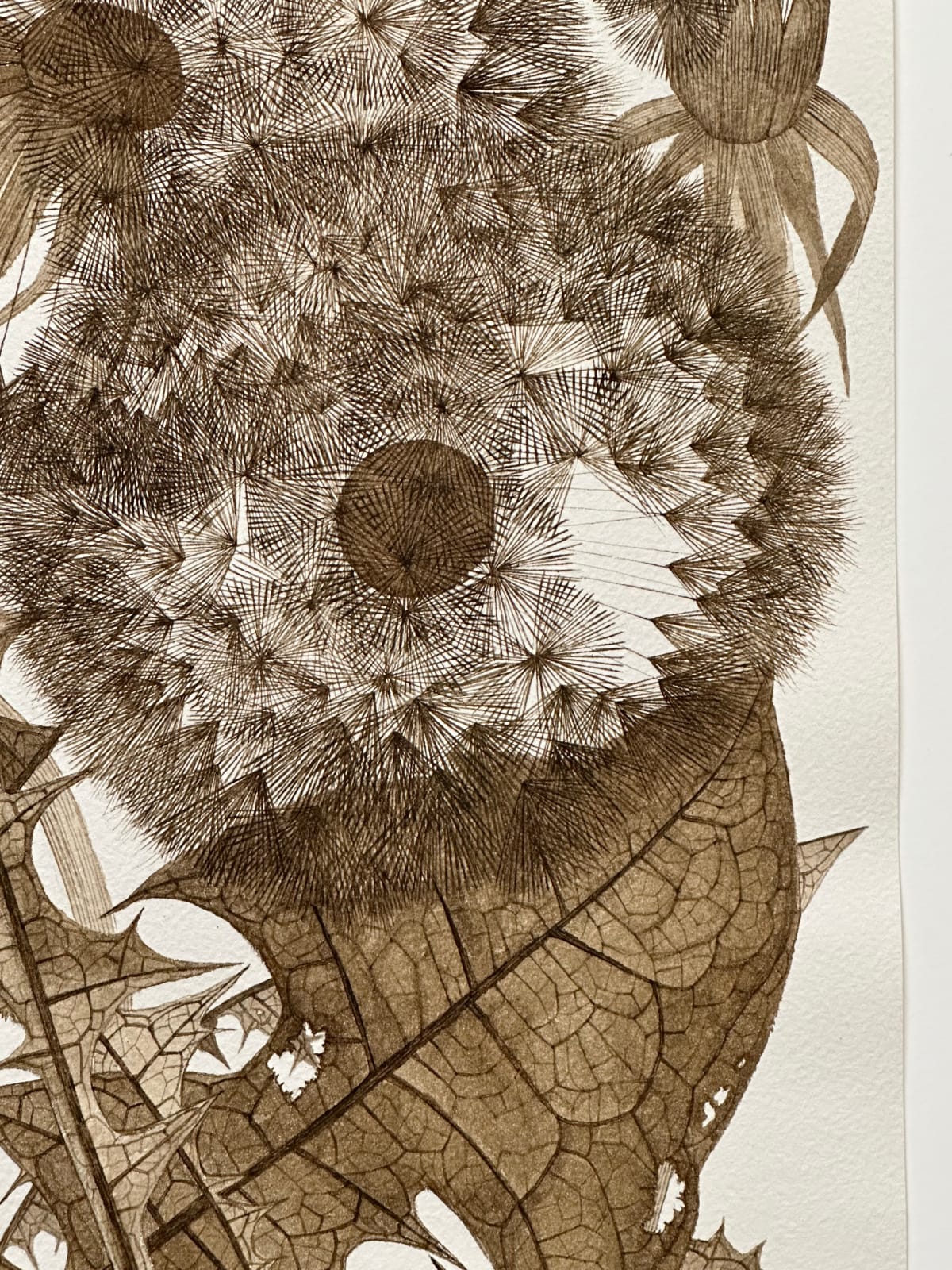 Margot Glass, Three Dandelions with Buds, 2024