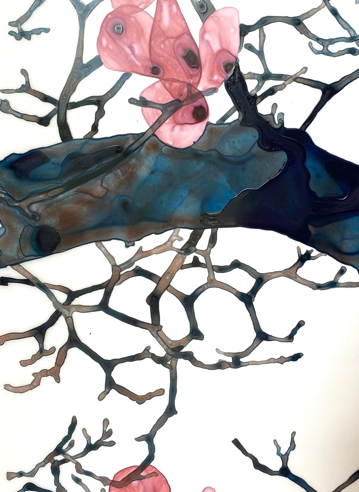 Jackie Battenfield, Evening Chorales Cs2, 2021