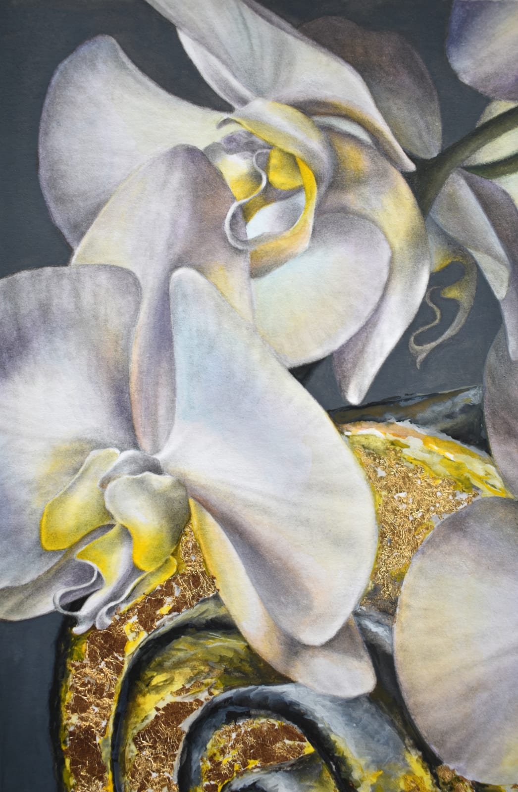Francine Fox, White Panama Catacombs, 2020
