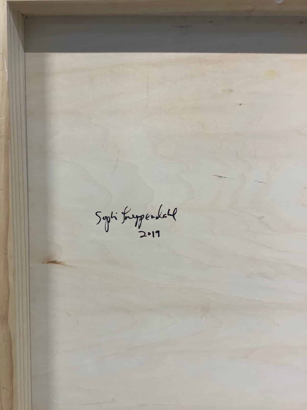 Sophie Treppendahl, View in Chief Michigan, 2019