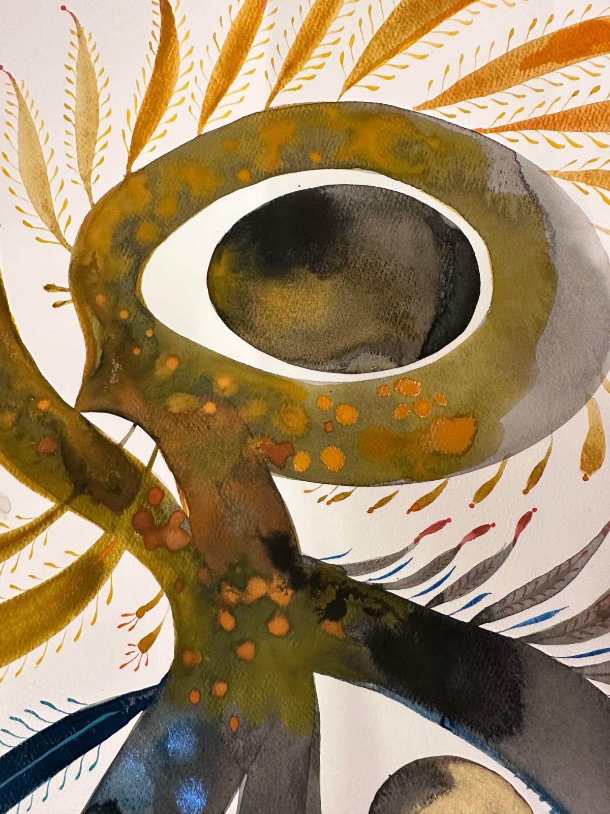 June Glasson, Delights 135, 2024