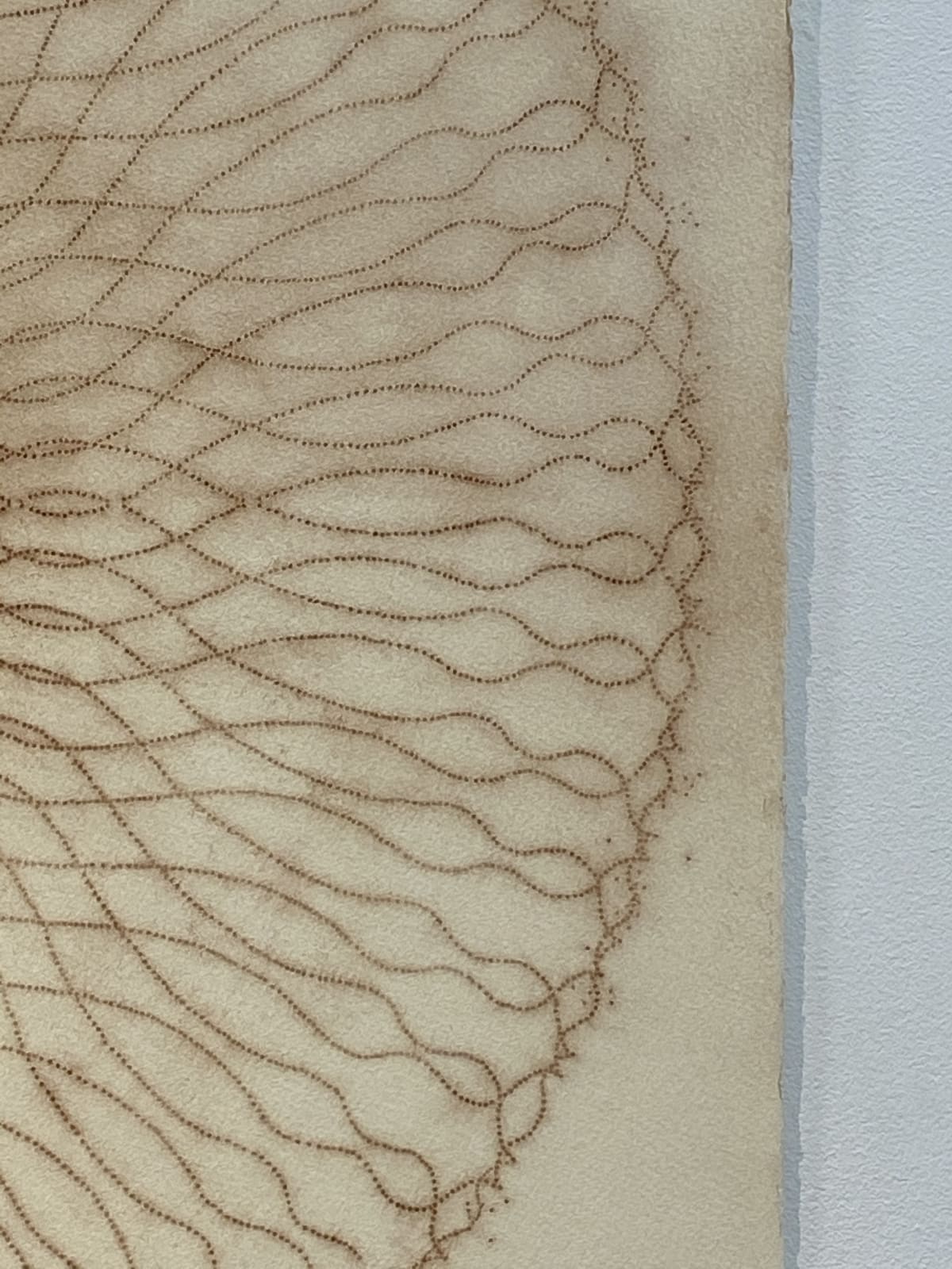 Mary Judge, Exotic Hex Series, 112/07, 2007