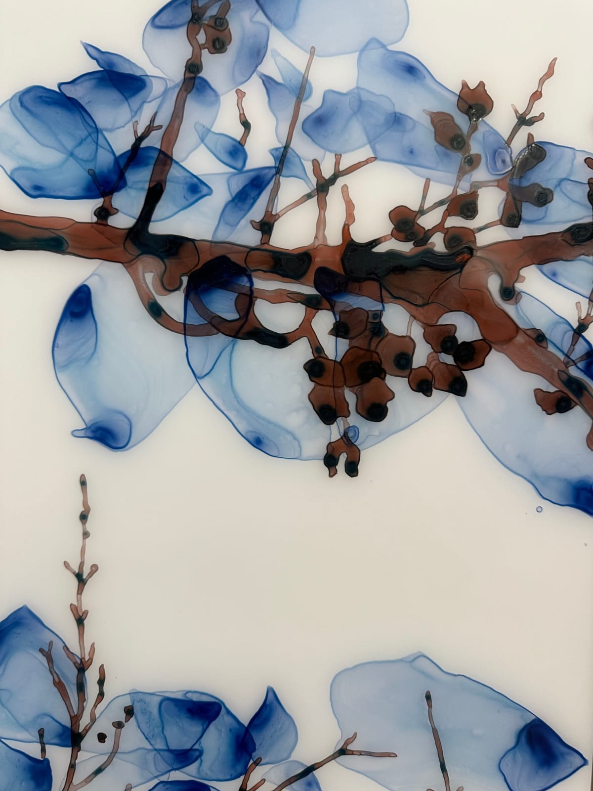 Jackie Battenfield, Unclouded cs1, 2022