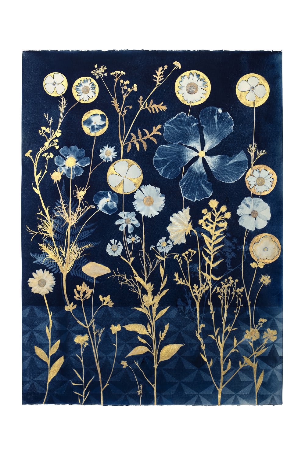 Julia Whitney Barnes, Cyanotype Print (Gold Hibiscus, Cosmos, Floor, Pattern), 2022