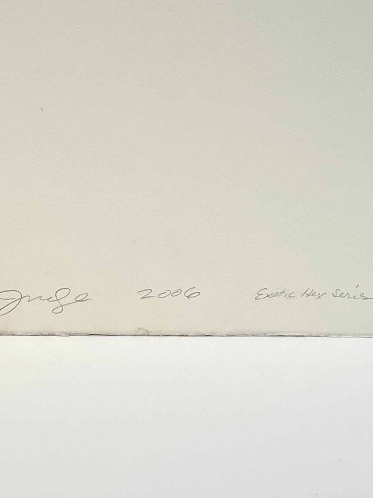 Mary Judge, Exotic Hex Series, 12/1, 2006