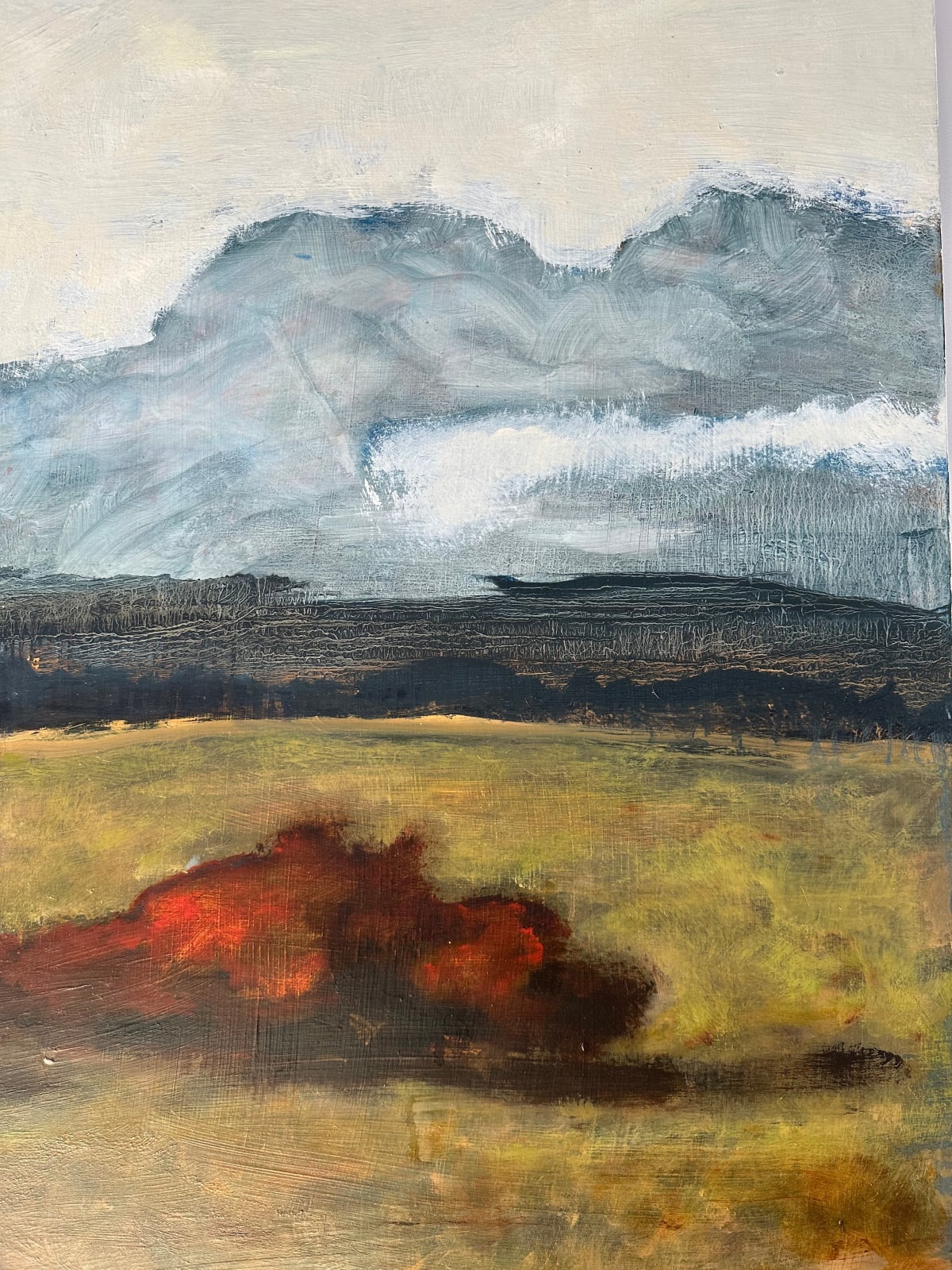 David Konigsberg, Firebush, 2024