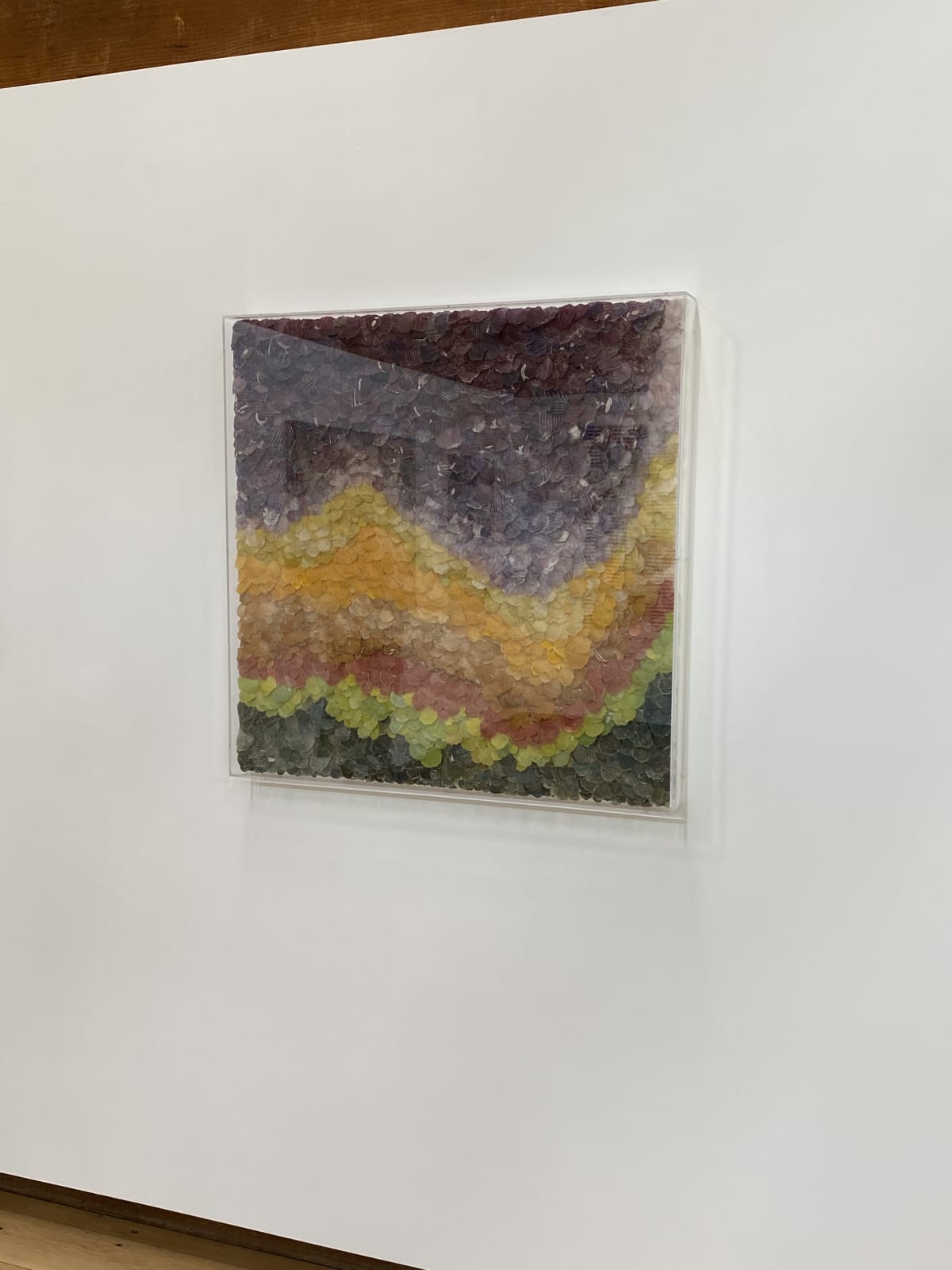 Jill Parisi, Sinuous Array, 2021