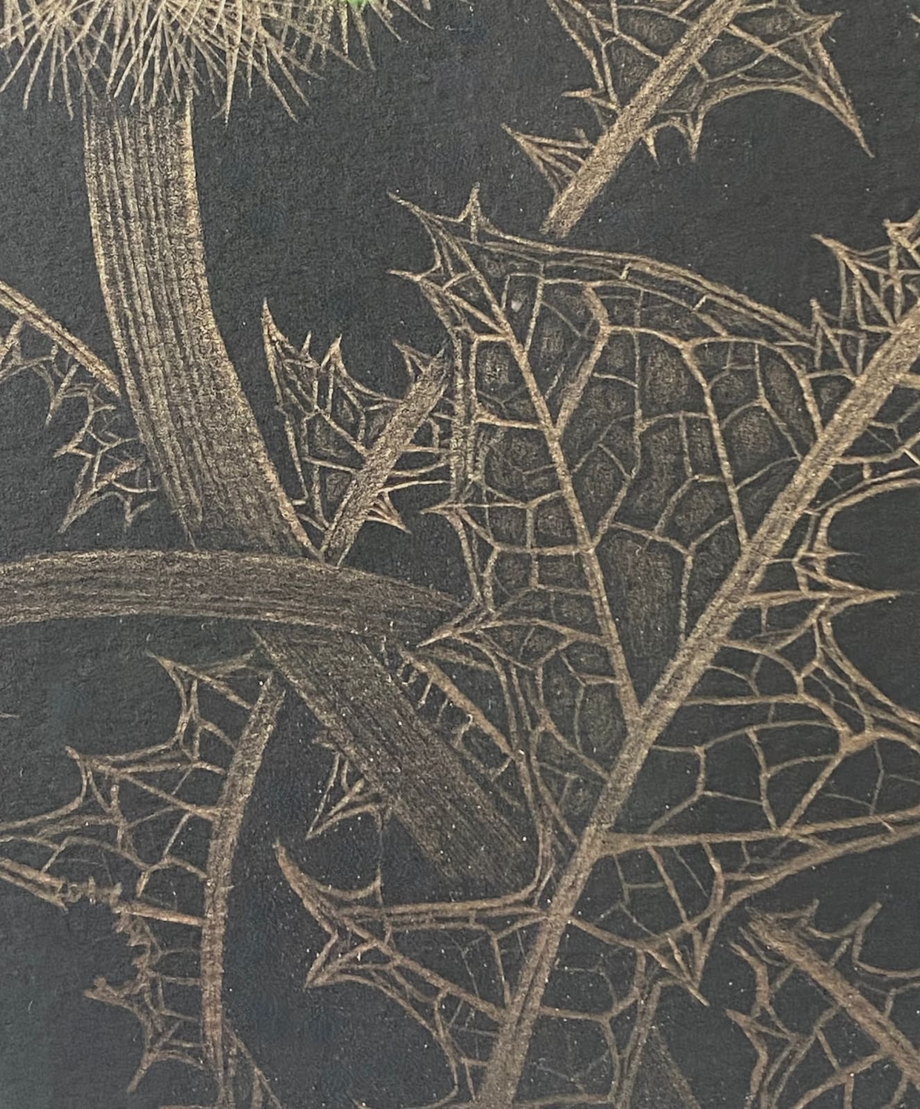 Margot Glass, Dandelion with Two Buds, 2022