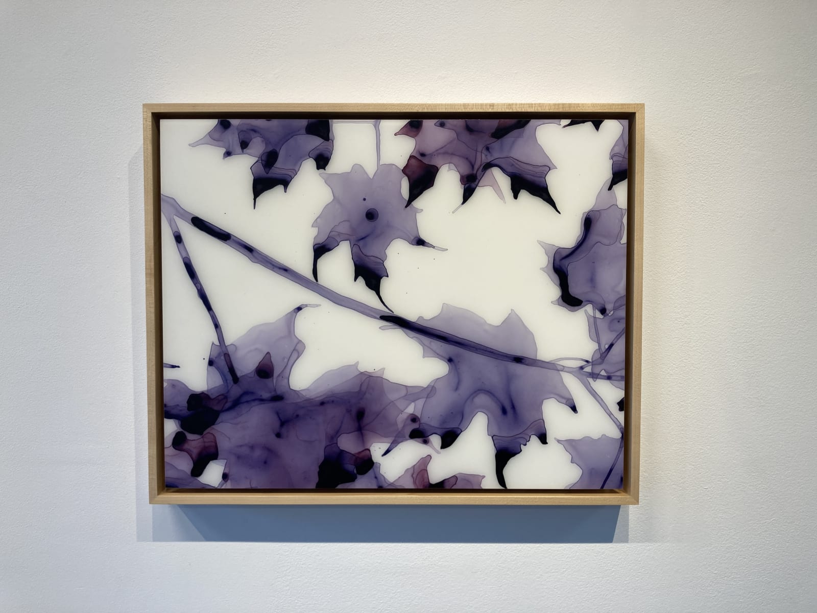 Jackie Battenfield, New Moon, 2011