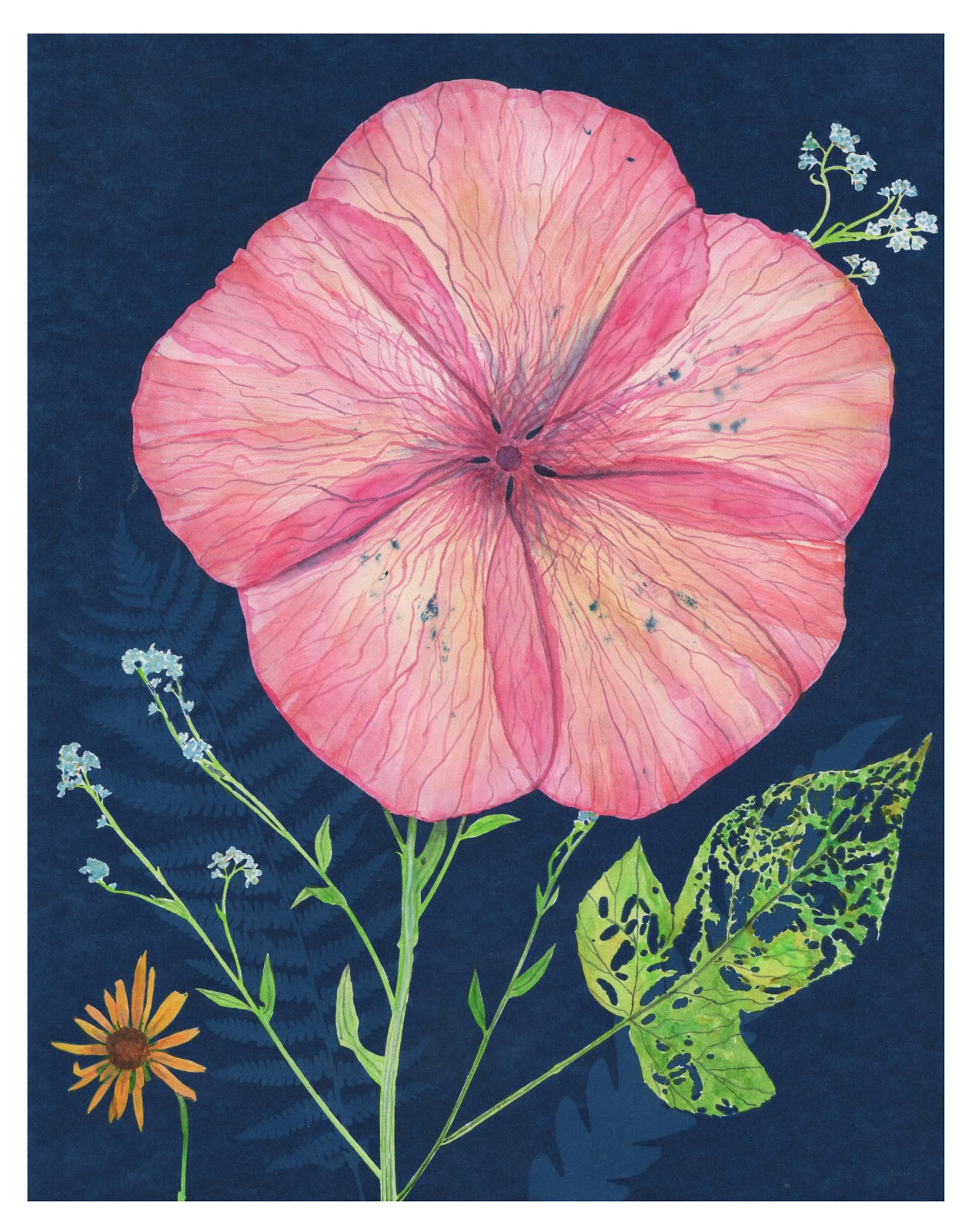 Julia Whitney Barnes, Cyanotype Painting (Pink Hibiscus, Forget Me Not, etc.), 2020