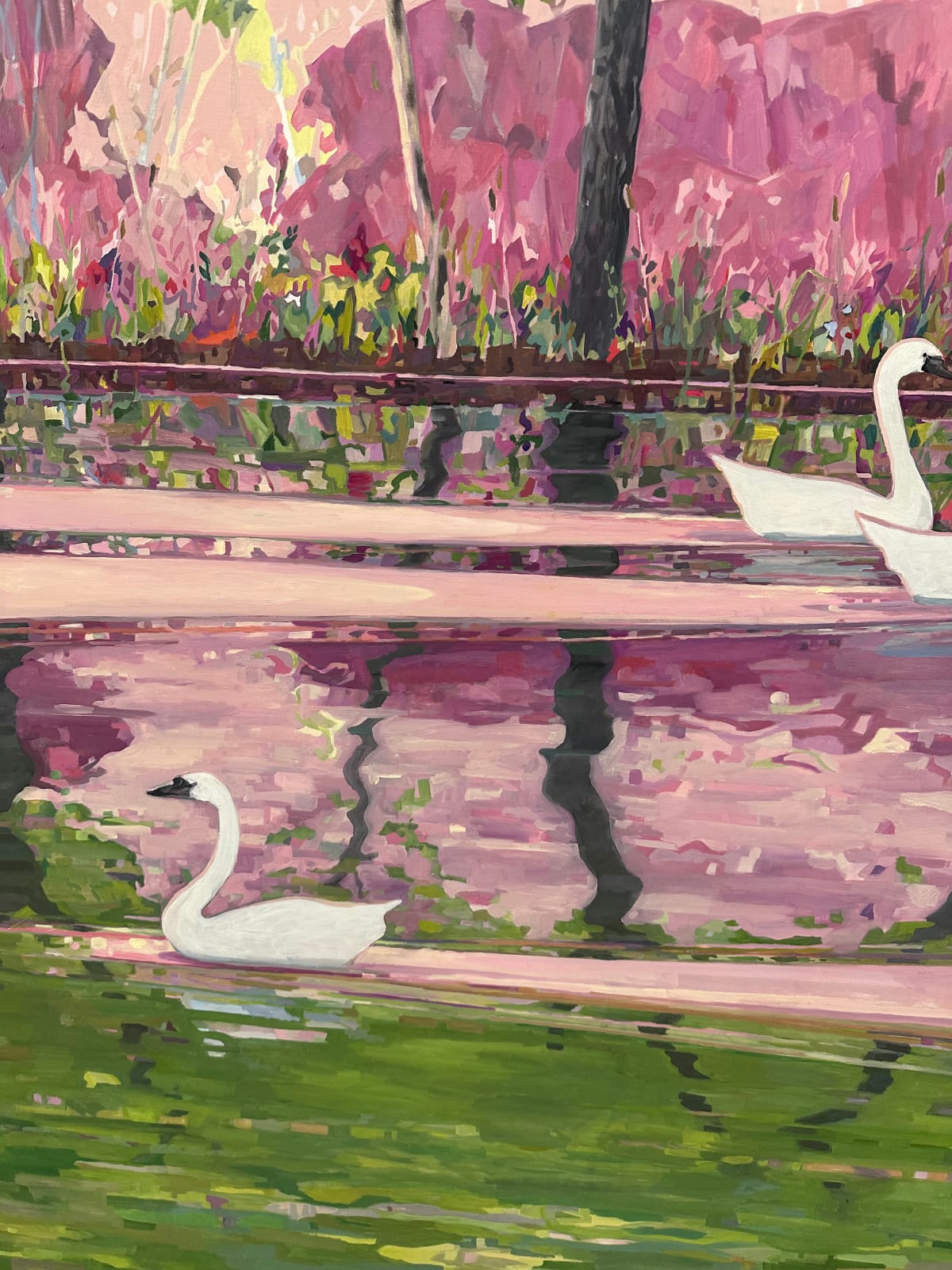 KK Kozik, Swans, 2024