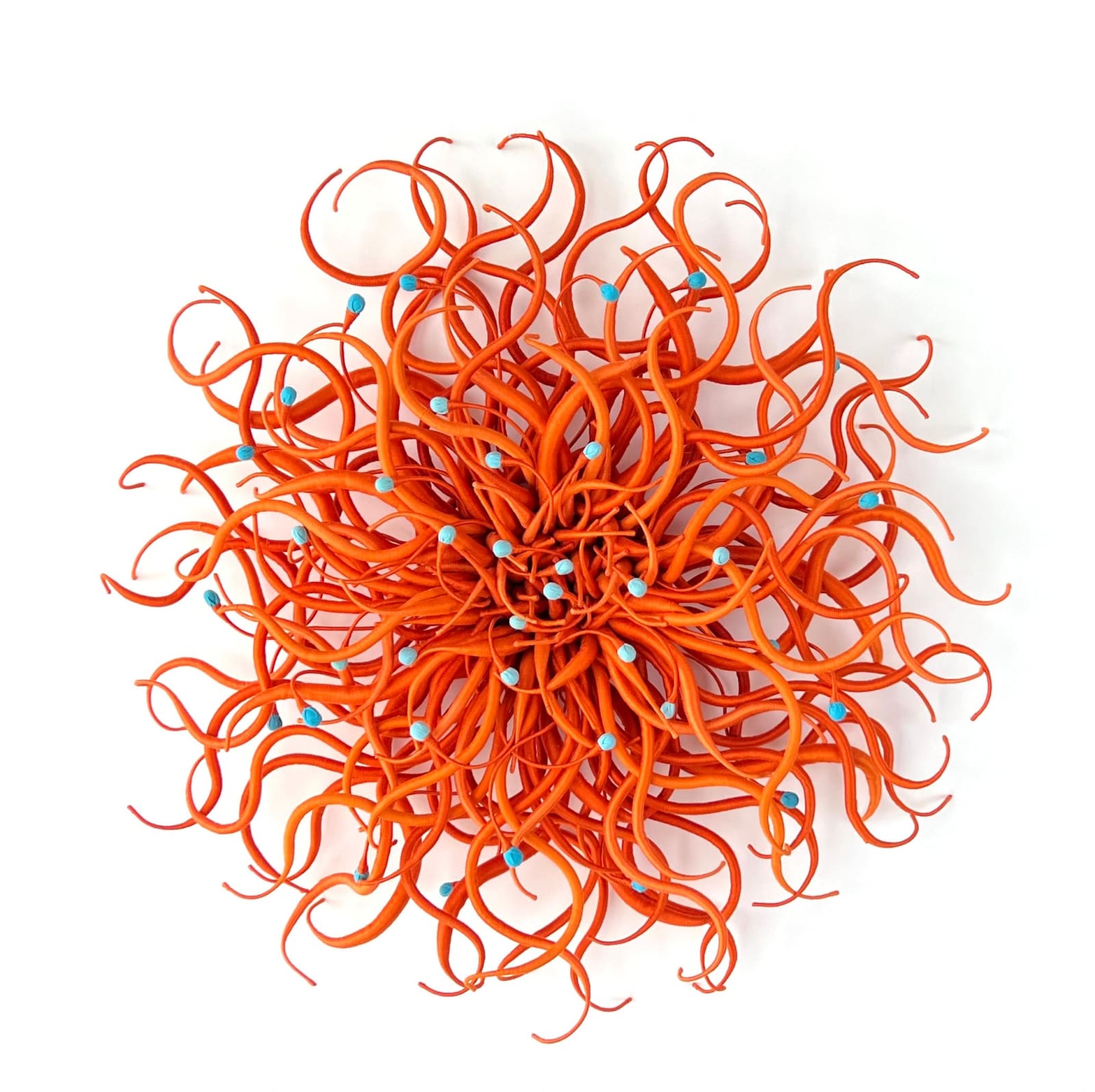 Catherine Latson, Specimen 39, 2024