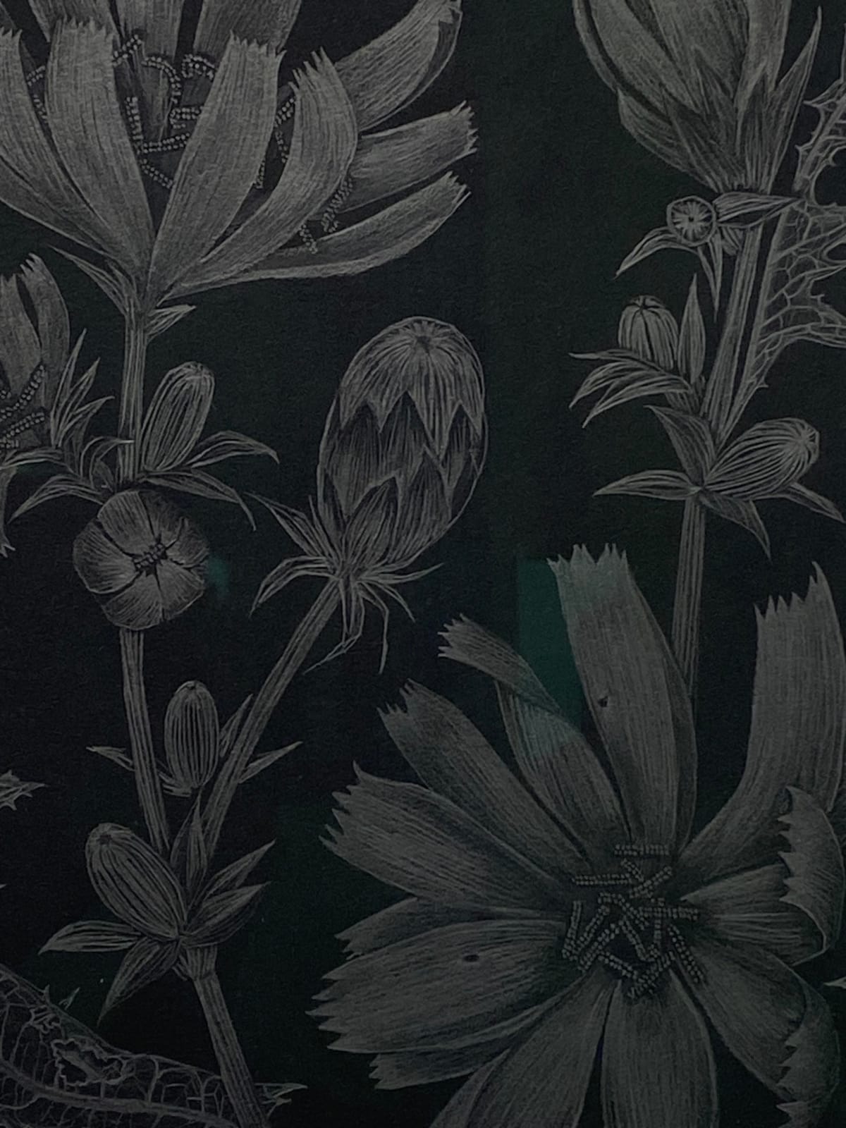 Margot Glass, Chicory 2, 2022