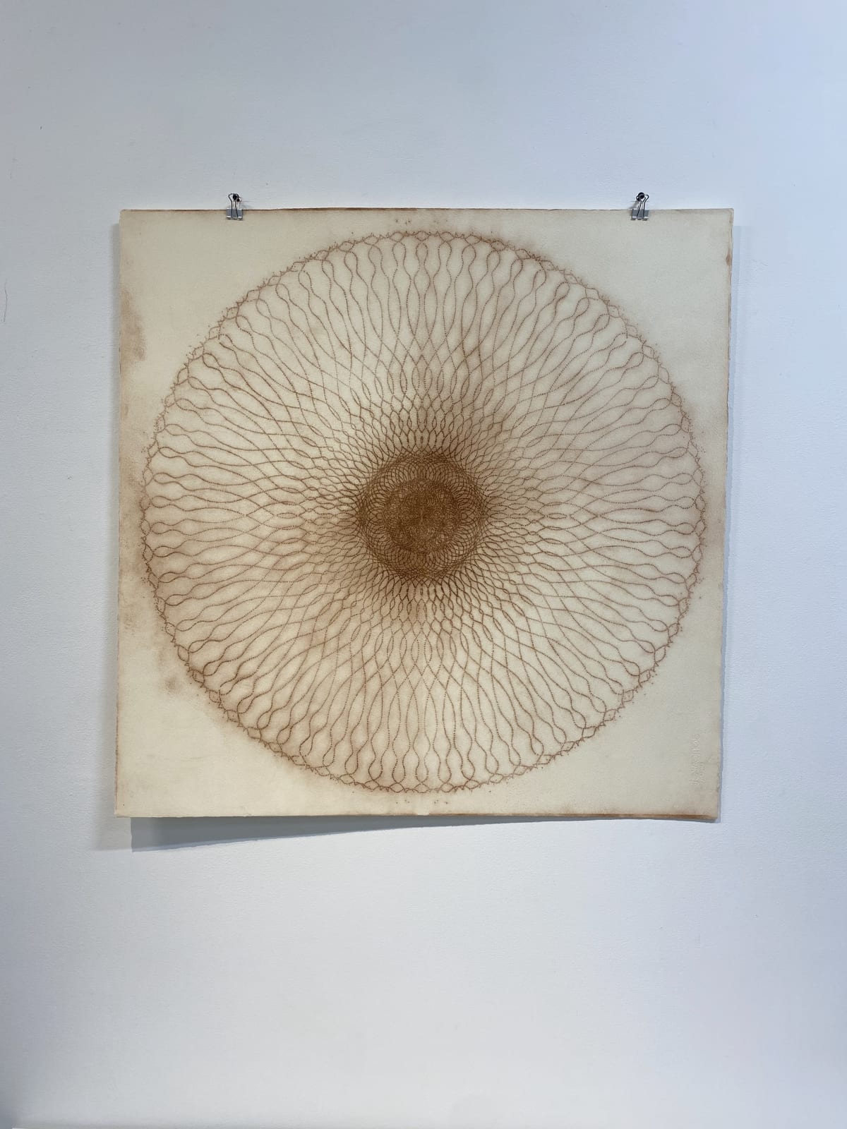 Mary Judge, Exotic Hex Series, 112/07, 2007