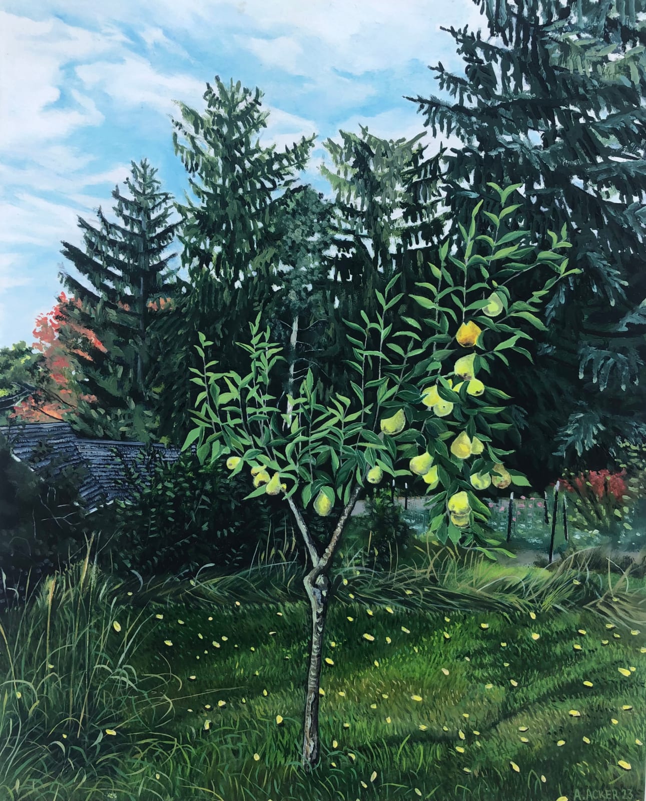 Amanda Acker, Backyard Pear, 2023