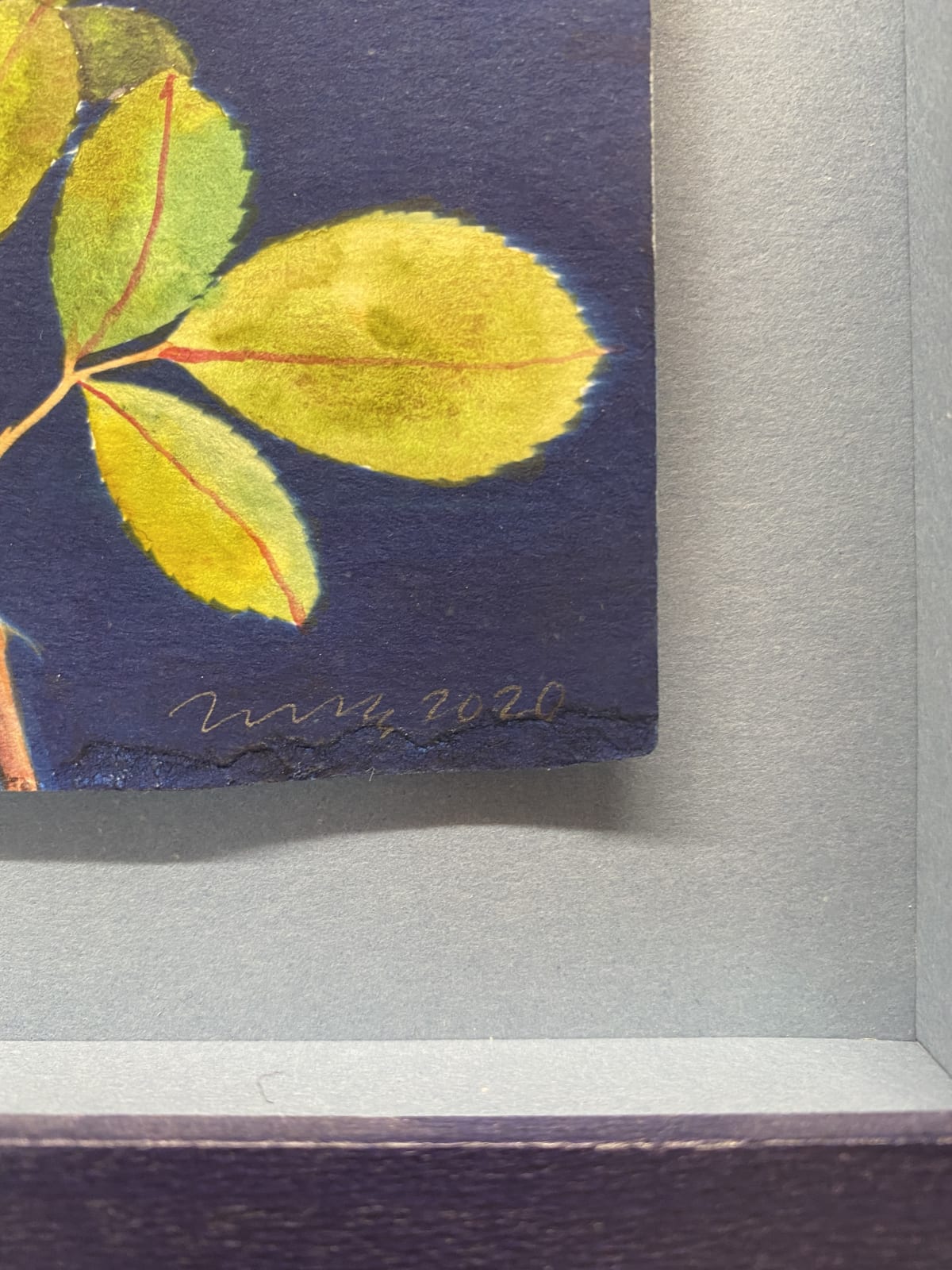 Julia Whitney Barnes, Cyanotype Painting (Hibiscus, Fern, Rose), 2020-2021