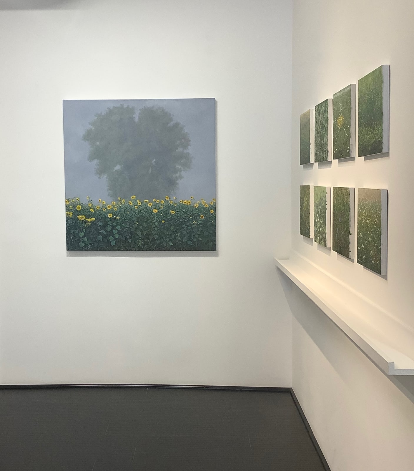 Thomas Sarrantonio, Visibility, 2019