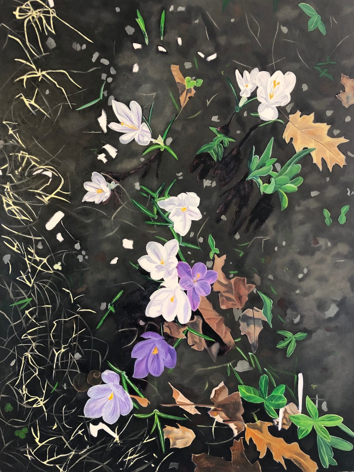 Amanda Acker, Crocus Spoke, 2023